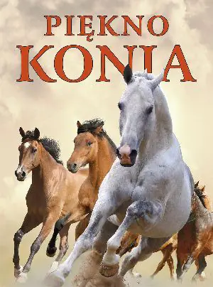 Piękno konia