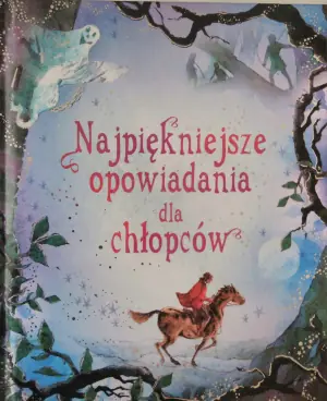 Najpiękniejsze opowiadania dla chłopców FK