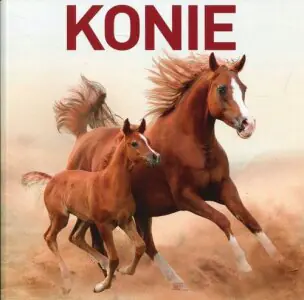 Konie 