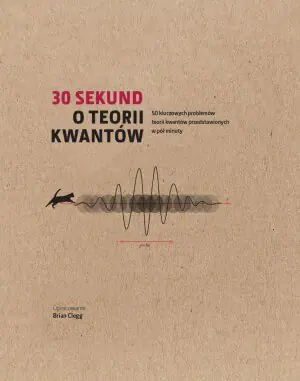 30 sekund. O teorii kwantów