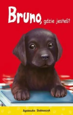 Kto mnie przytuli? Tom 9. Bruno, gdzie jesteś?
