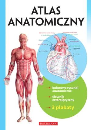 Atlas anatomiczny