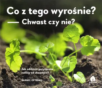 Co z tego wyrośnie? Chwast czy nie?
