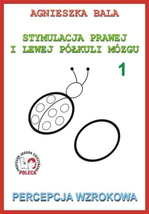 Stymulacja prawej i lewej półkuli mózgu. Percepcja wzrokowa. Zeszyt 1