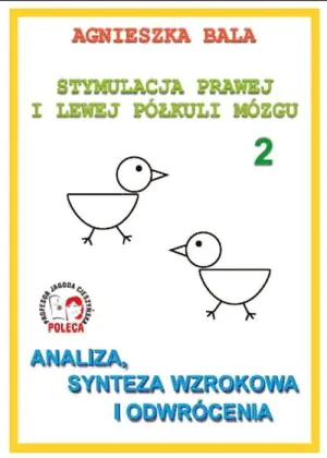 Stymulacja prawej i lewej półkuli mózgu. Analiza, synteza wzrokowa i odwrócenia. Zeszyt 2