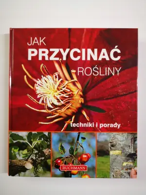 Najważniejsze miejsca święte. Miejsca pielgrzymek, kultu religijnego i duchowej potęgi