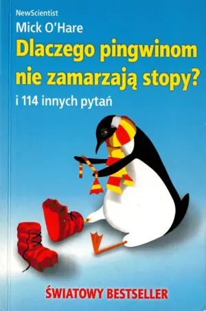 Dlaczego pingwinom nie zamarzają stopy