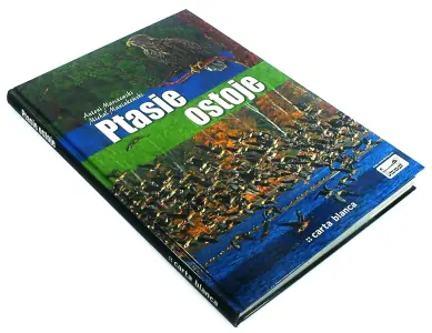 Ptasie ostoje