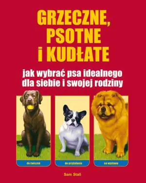 Grzeczne psotne i kudłate