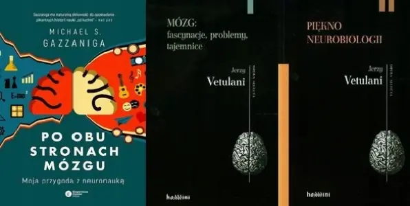 Piękno neurobiologii