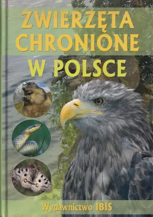 Zwierzęta chronione w Polsce 