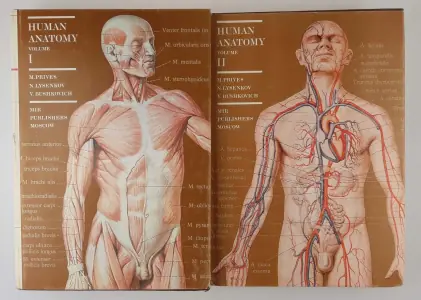 Audio kurs. Ukraiński. Kurs podstawowy