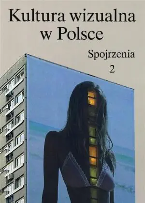 Kultura wizualna w Polsce. Spojrzenia