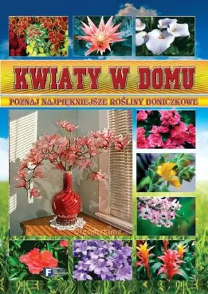 Kwiaty w domu