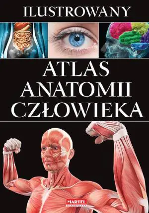 Ilustrowany atlas anatomii człowieka
