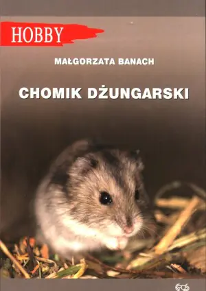 Chomik dżungarski