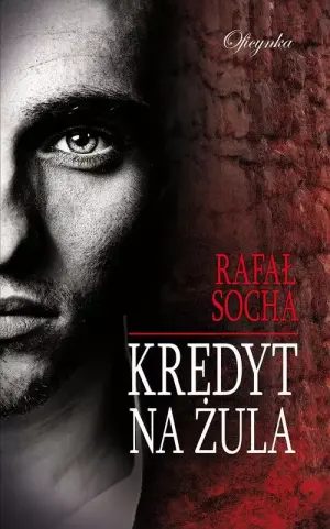 Kredyt na żula