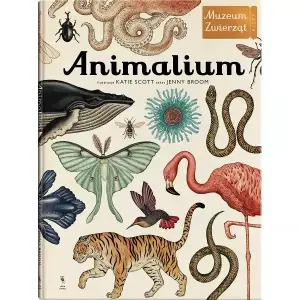 Animalium