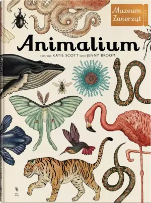 Muzeum zwierząt. Animalium
