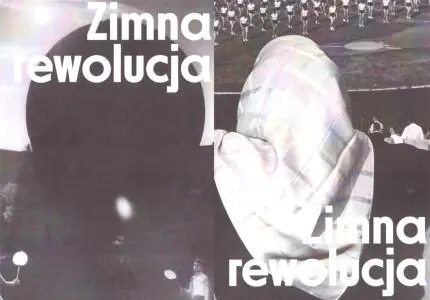 Zimna rewolucja