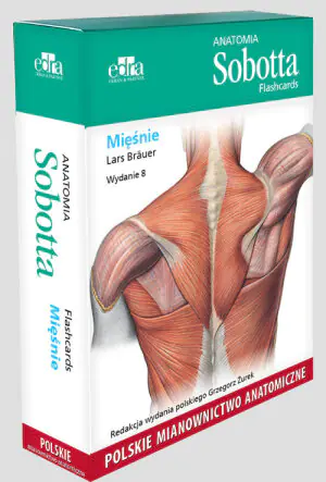Anatomia Sobotta Flashcards. Mięśnie. Polskie mianownictwo anatomiczne
