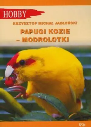 Papugi kozie - modrolotki