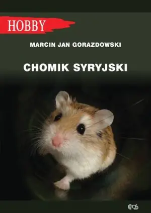Chomik syryjski
