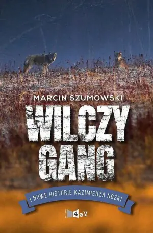 Wilczy gang i nowe historie Kazimierza Nóżki