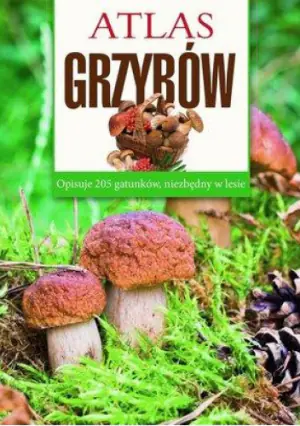 Atlas grzybów