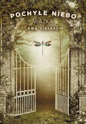 Ważka. Pochyłe niebo. Tom 3