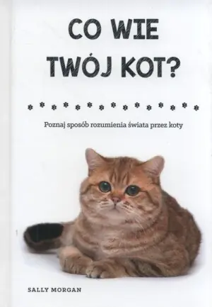 Co wie Twój kot? Poznaj sposób rozumienia świata przez koty