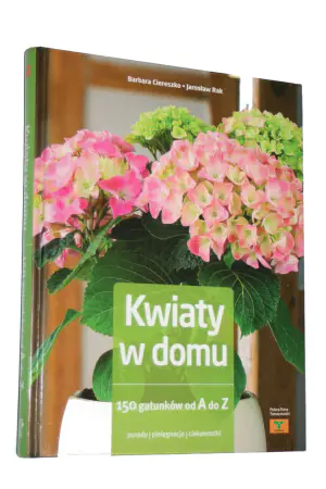 Kwiaty w domu 