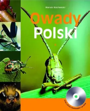Owady Polski