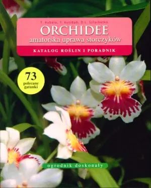 Orchidee amatorska uprawa storczyków