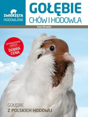 Zwierzęta hodowlane. Gołębie. Chów i hodowla