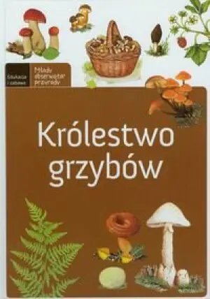 Królestwo grzybów