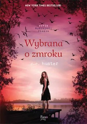 Wodospady cienia. Tom 5. Wybrana o zmroku