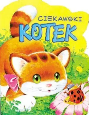 Ciekawski Kotek