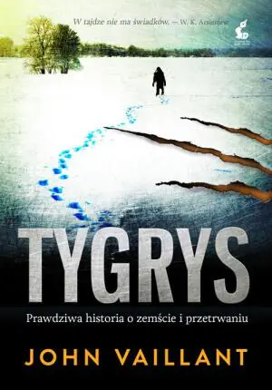 Tygrys