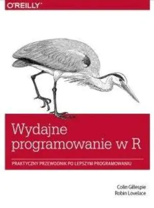 Wydajne programowanie w R. Praktyczny przewodnik po lepszym programowaniu