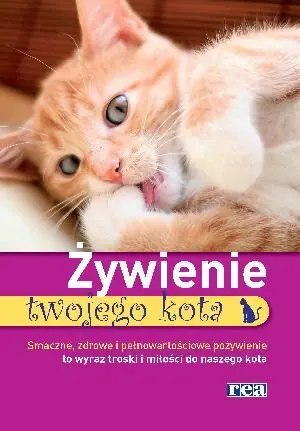 Żywienie twojego kota