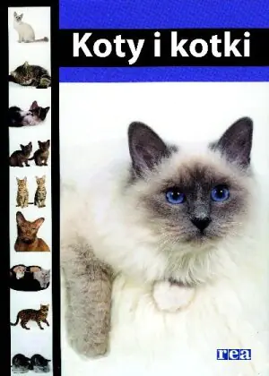 Koty i kocięta Poradnik i kompendium wiedzy