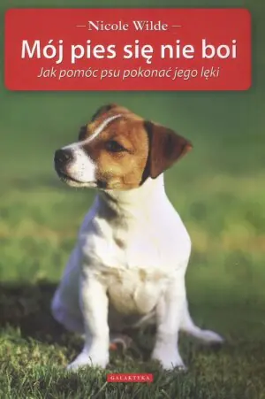 Mój pies się nie boi. Jak pomóc psu pokonać jego lęki
