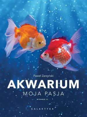 Akwarium. Moja pasja