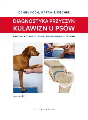 Diagnostyka przyczyn kulawizn u psów