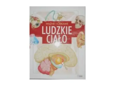 Ważne i ciekawe Ludzkie ciało
