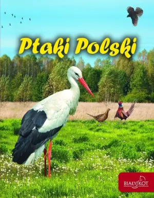 Ptaki Polski