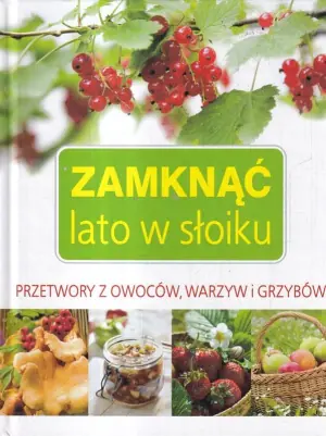 Zamknąć lato w słoiku - Praca zbiorowa - 