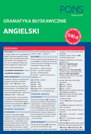 Gramatyka błyskawicznie. Angielski