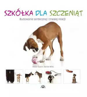 Szkółka dla szczeniąt. Budowanie serdecznej i trwałej relacji